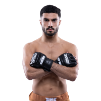 Mohamed Alsameea